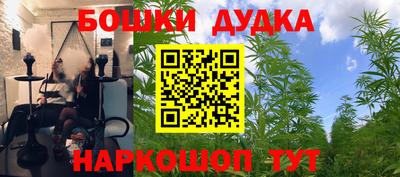 гидра Сланцы