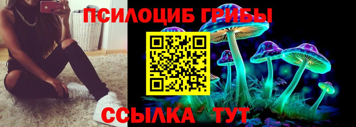 Нарткала  Псилоцибиновые грибы мицелий  Вход с VPN 